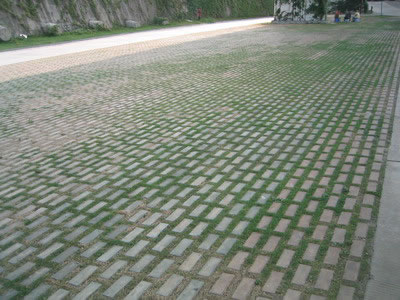 Showcase of Concrete Turf Block (Concrete Grass Pavers)