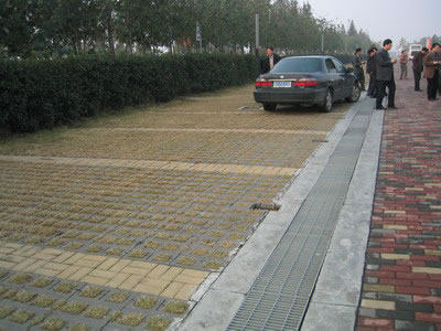 Showcase of Concrete Turf Block (Concrete Grass Pavers)